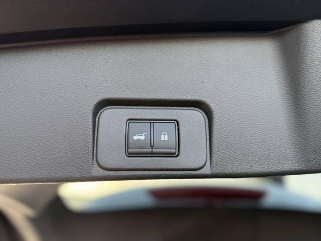Nissan X-Trail image 1