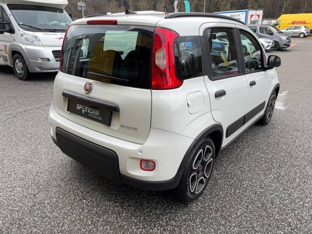 Fiat Panda image 3