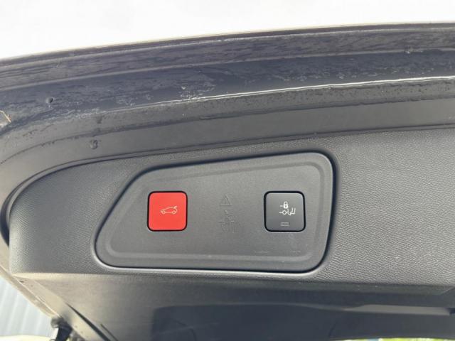 Peugeot 3008 image 1