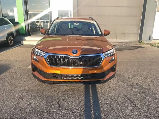 Skoda Karoq image 2