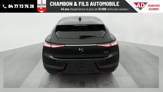 Ds Ds 4 image 5