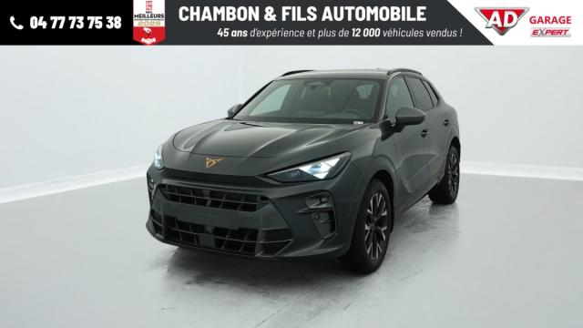 Cupra Terramar image 4