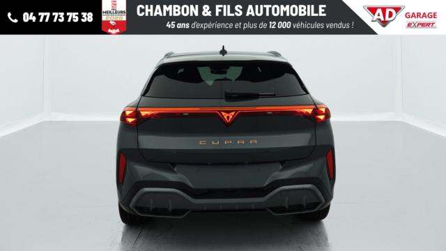Cupra Terramar image 8
