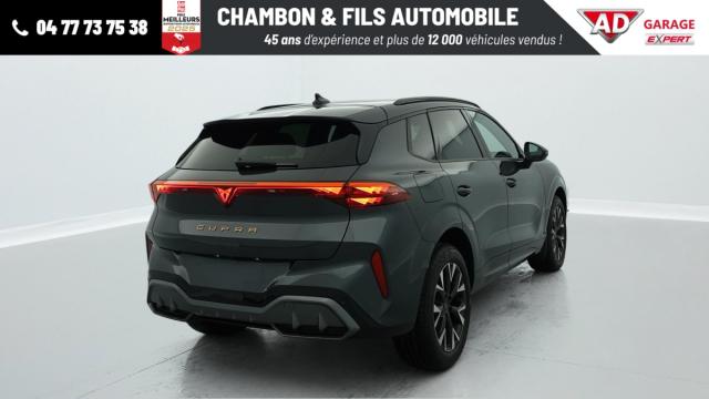 Cupra Terramar image 6