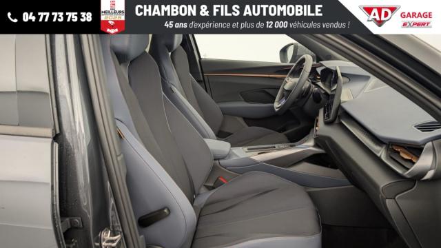 Cupra Terramar image 5