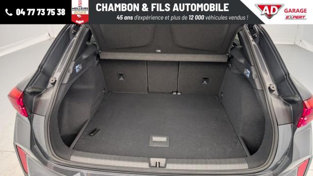 Cupra Terramar image 7