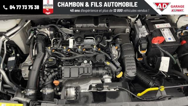 Fiat Doblo image 9