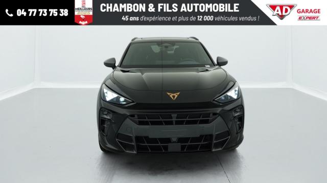 Cupra Terramar image 8