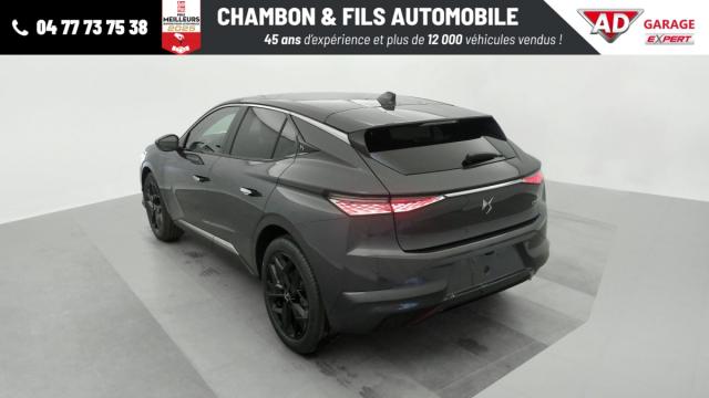 Ds Ds 4 image 4