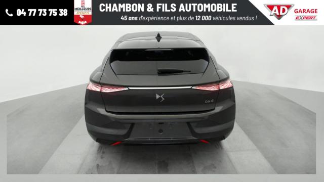 Ds Ds 4 image 8