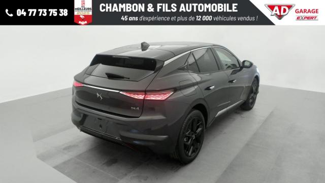 Ds Ds 4 image 1