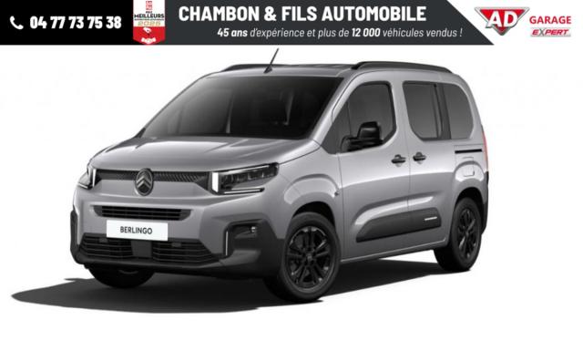 Citroen Berlingo image 3