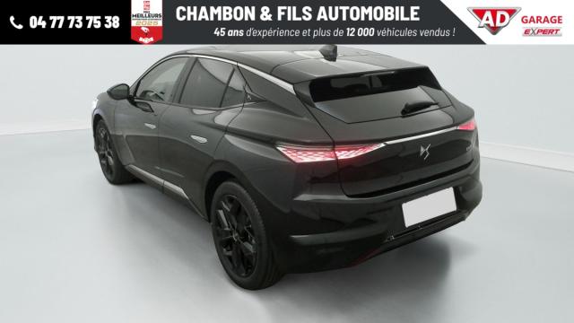 Ds Ds 4 image 9