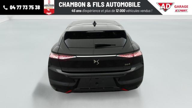 Ds Ds 4 image 6