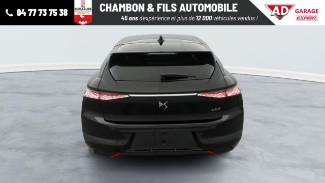 Ds Ds 4 image 3