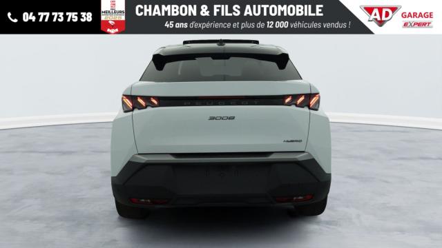 Peugeot 3008 image 3