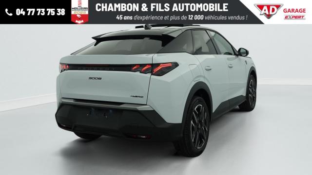 Peugeot 3008 image 1