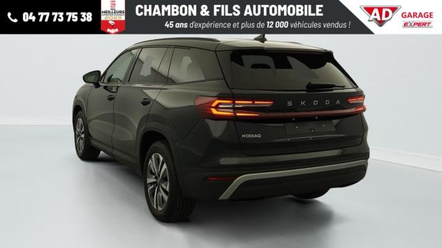 Skoda Kodiaq image 2