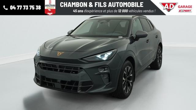 Cupra Terramar image 8