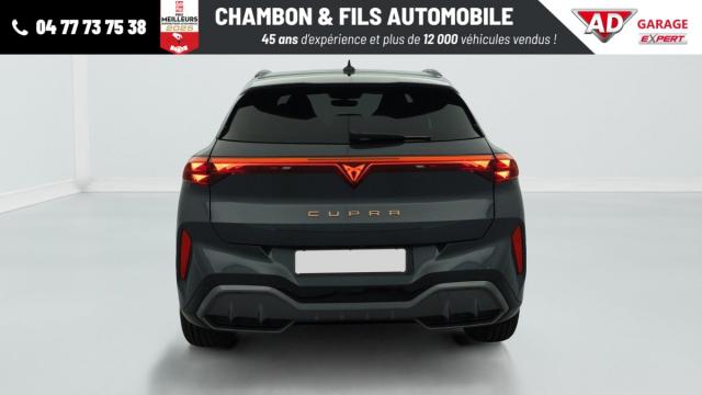 Cupra Terramar image 7