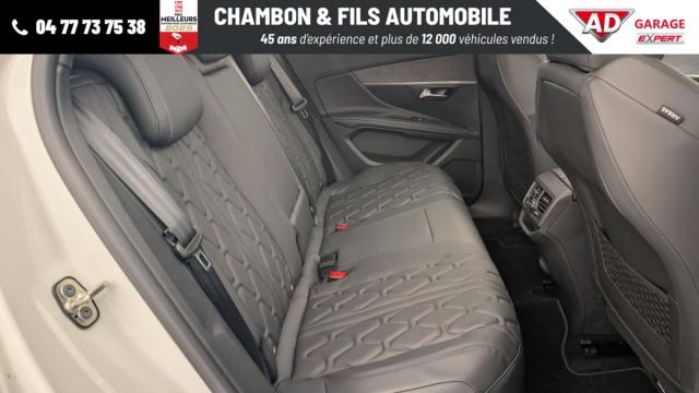 Peugeot 3008 image 1
