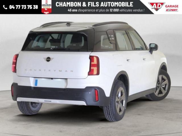 Mini Countryman image 1