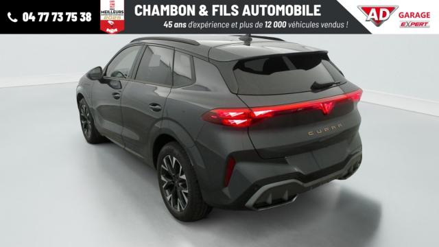 Cupra Terramar image 7