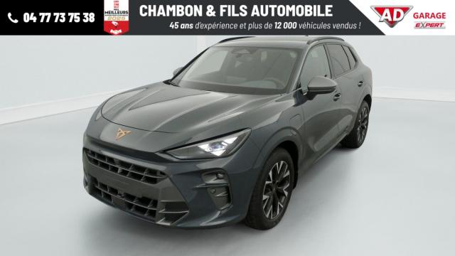 Cupra Terramar image 8