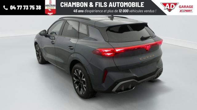 Cupra Terramar image 3