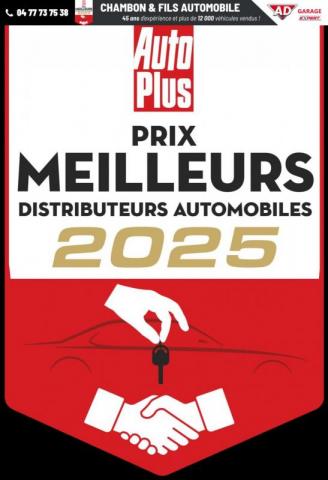 Renault Symbioz image 6