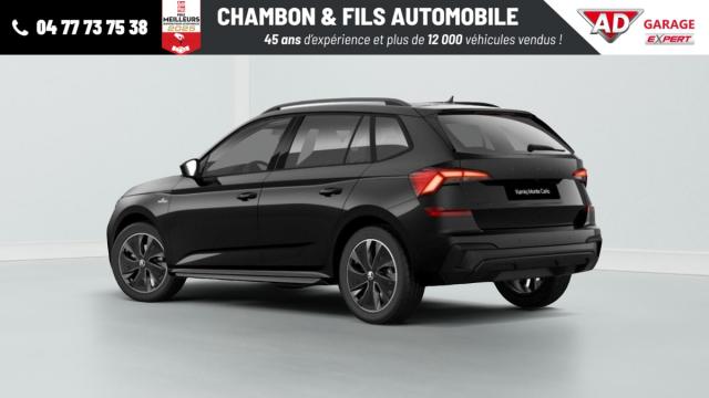 Skoda Kamiq image 2
