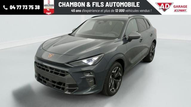 Cupra Terramar image 3