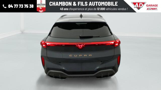 Cupra Terramar image 6