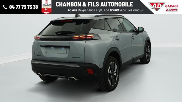 Peugeot 2008 image 1