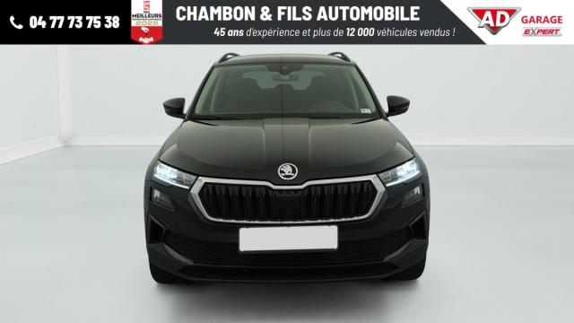 Skoda Karoq image 5