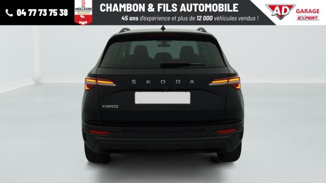 Skoda Karoq image 7