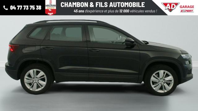 Skoda Karoq image 1