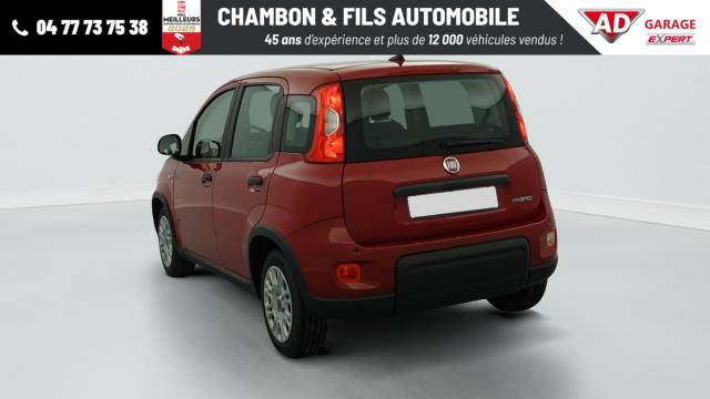 Fiat Panda image 2