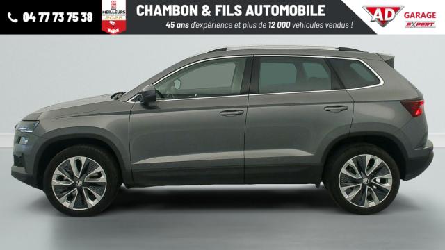Skoda Karoq image 2