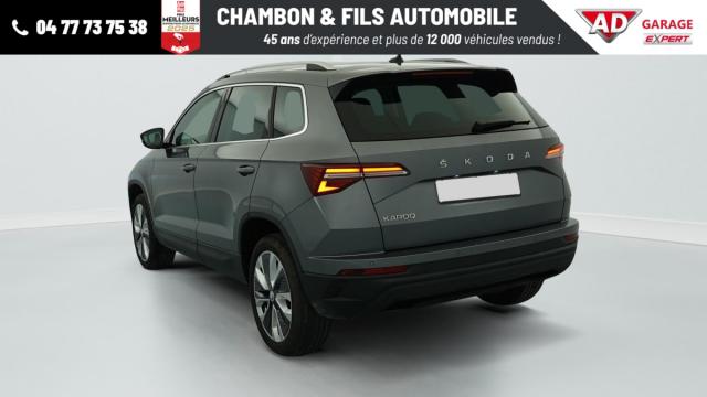 Skoda Karoq image 6