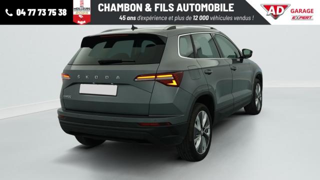 Skoda Karoq image 4