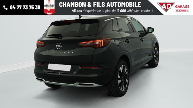 Opel Grandland X image 7
