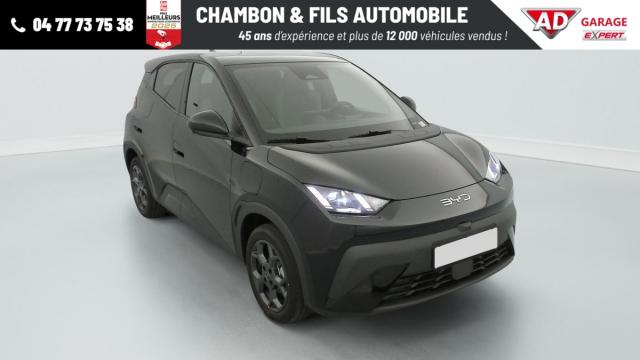 Byd Dolphin Surf 43.2 Kwh 156 Ch Comfort
