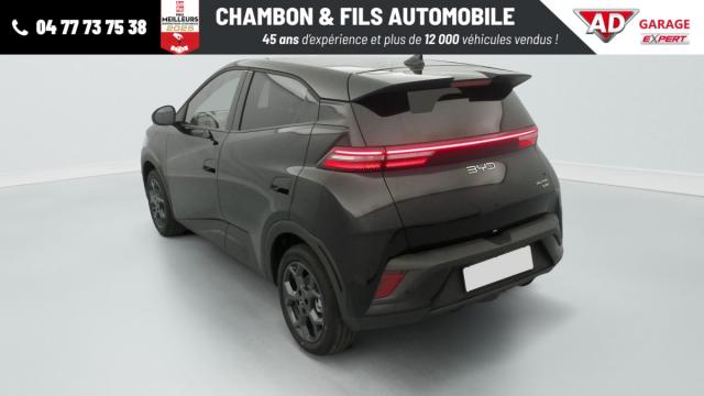 Byd Dolphin image 2