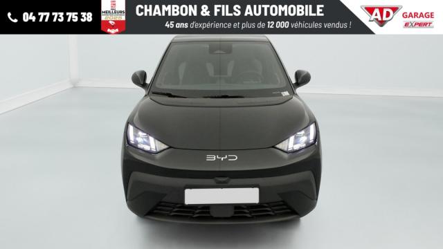 Byd Dolphin image 5