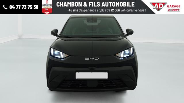 Byd Dolphin image 6