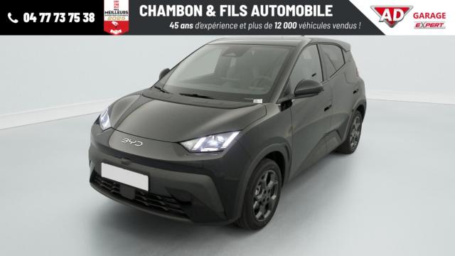 Byd Dolphin image 3