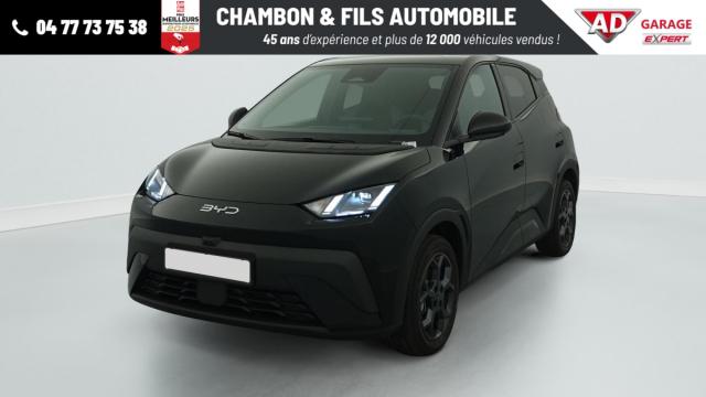 Byd Dolphin image 4