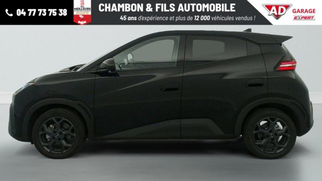Byd Dolphin image 7