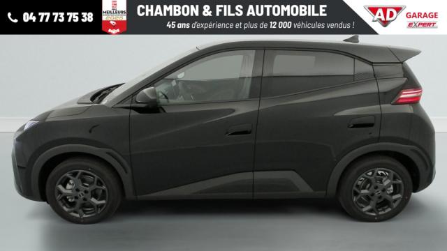 Byd Dolphin image 9